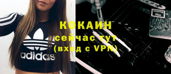 индика Аркадак