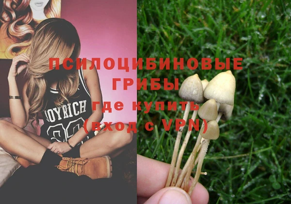 индика Аркадак