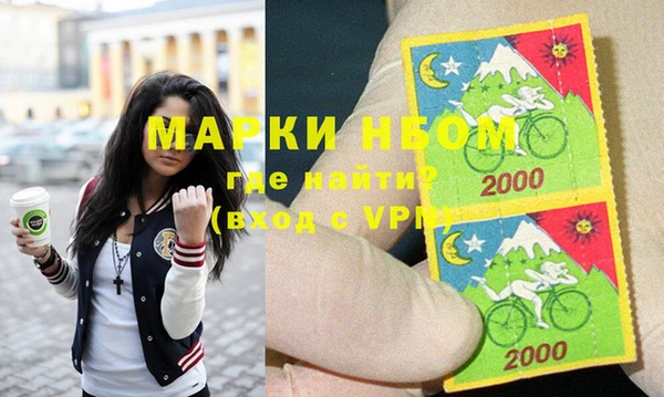 индика Аркадак