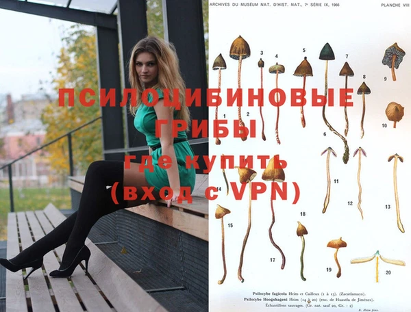 амф Армянск