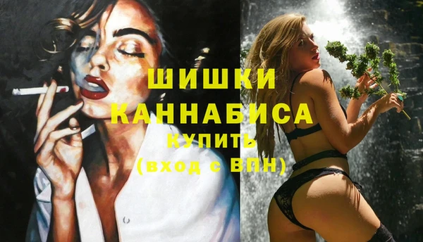 индика Аркадак