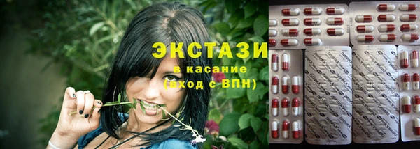 индика Аркадак