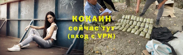 индика Аркадак