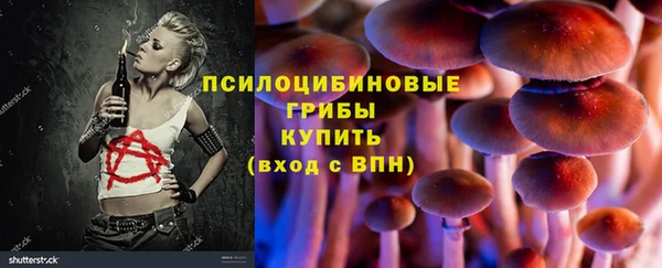 индика Аркадак
