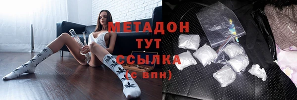 индика Аркадак